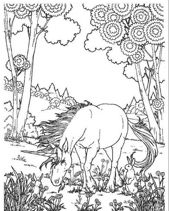 Desenho de Unicórnios para imprimir