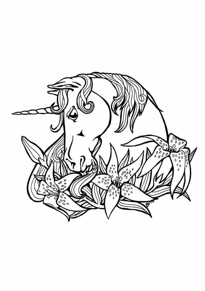 Desenho de Unicórnios para imprimir