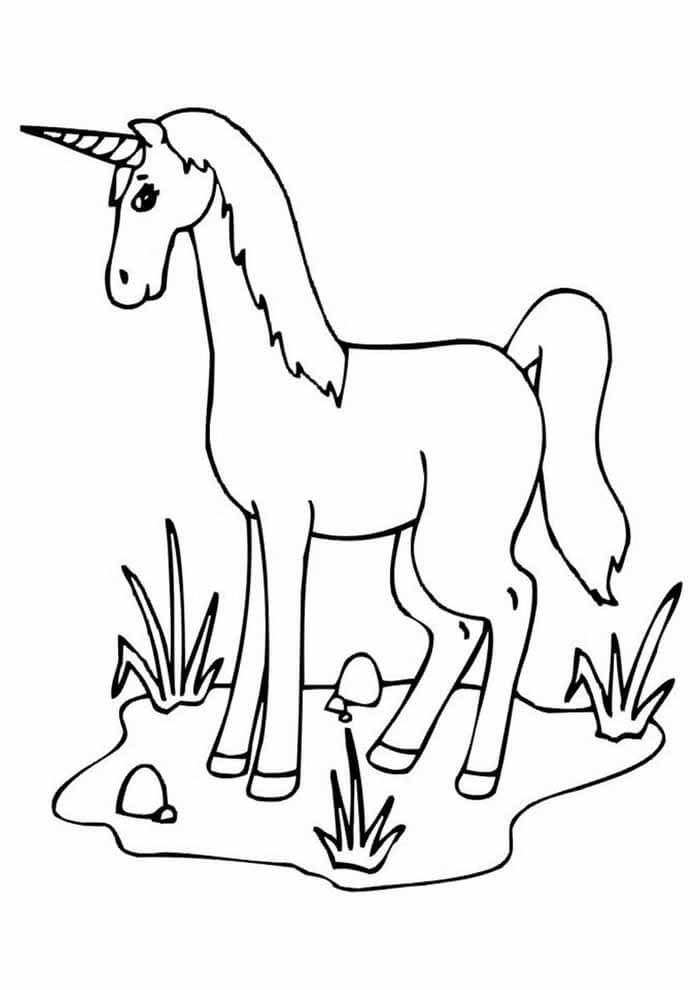 Desenho de Unicórnios para imprimir