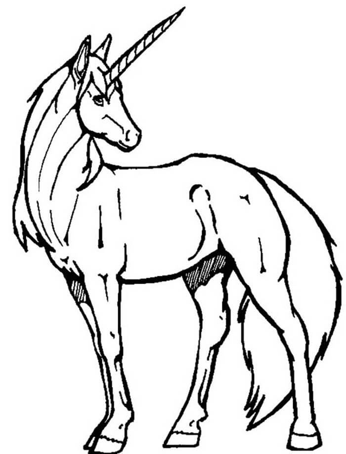 Desenho de Unicórnios para imprimir