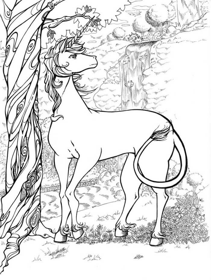 Desenho de Unicórnios para imprimir