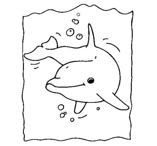 Desenho de Boto-cor-de-rosa para imprimir