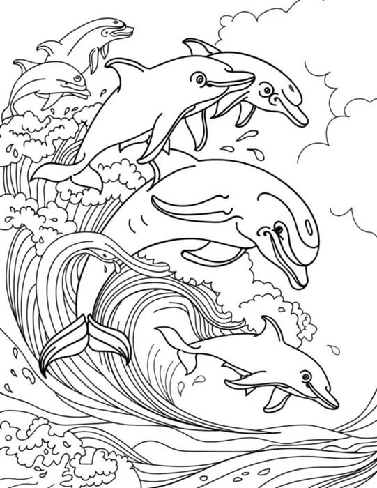 Desenho de Boto-cor-de-rosa para imprimir