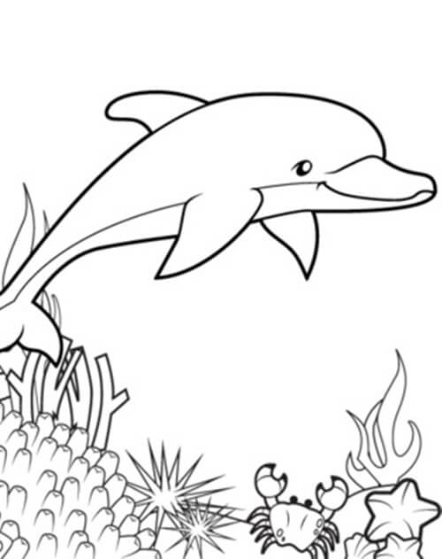 Desenho de Boto-cor-de-rosa para imprimir