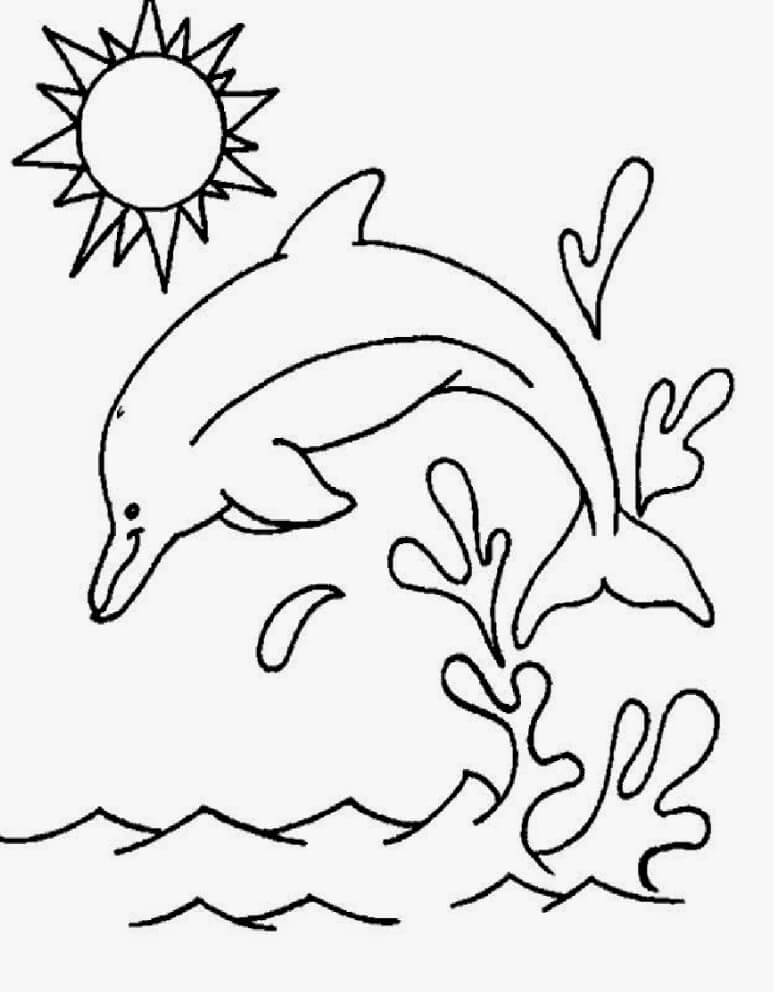 Desenho de Boto-cor-de-rosa para imprimir