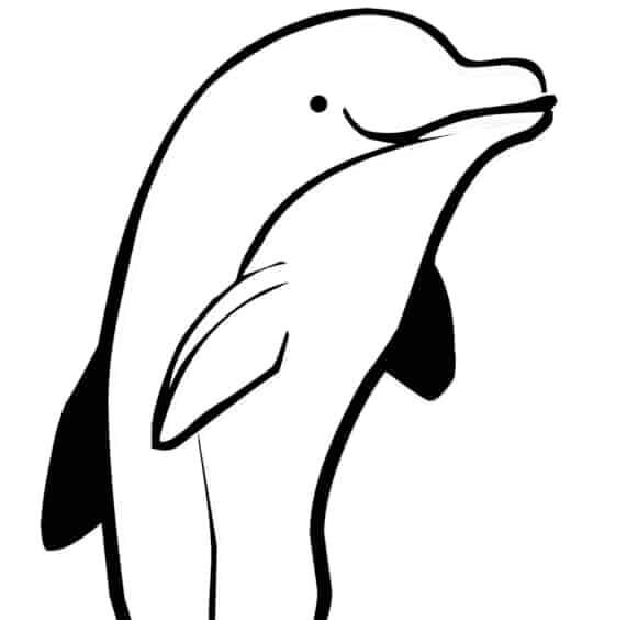 Desenho de Boto-cor-de-rosa para imprimir