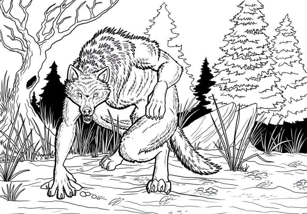 Desenho de Lobisomem para imprimir