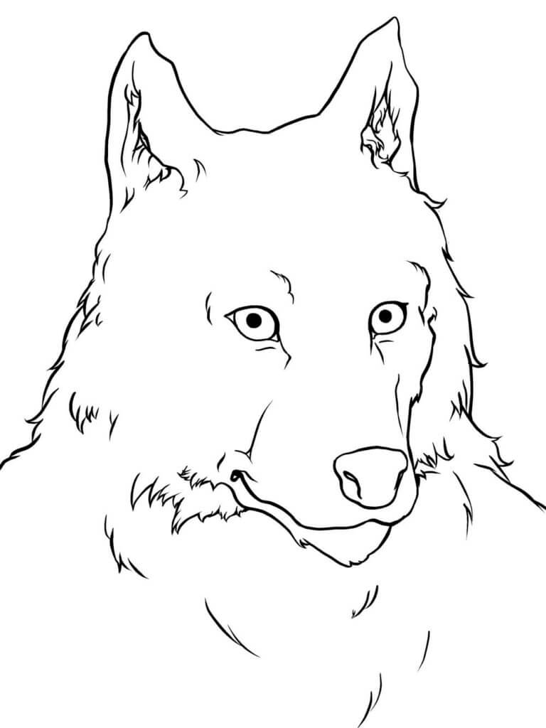 Desenho de Lobisomem para imprimir