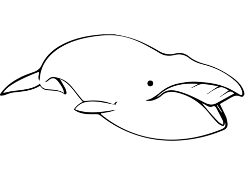 Desenho de Baleias para imprimir