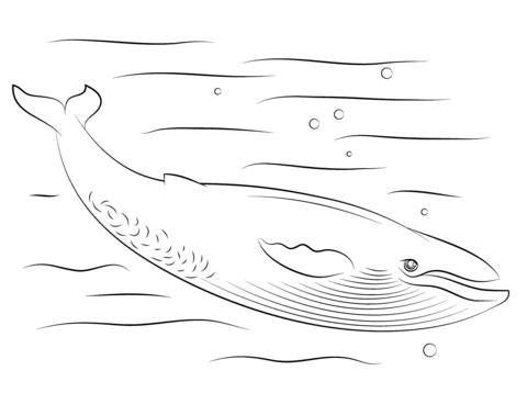 Desenho de Baleias para imprimir