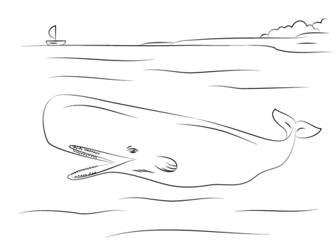 Desenho de Baleias para imprimir
