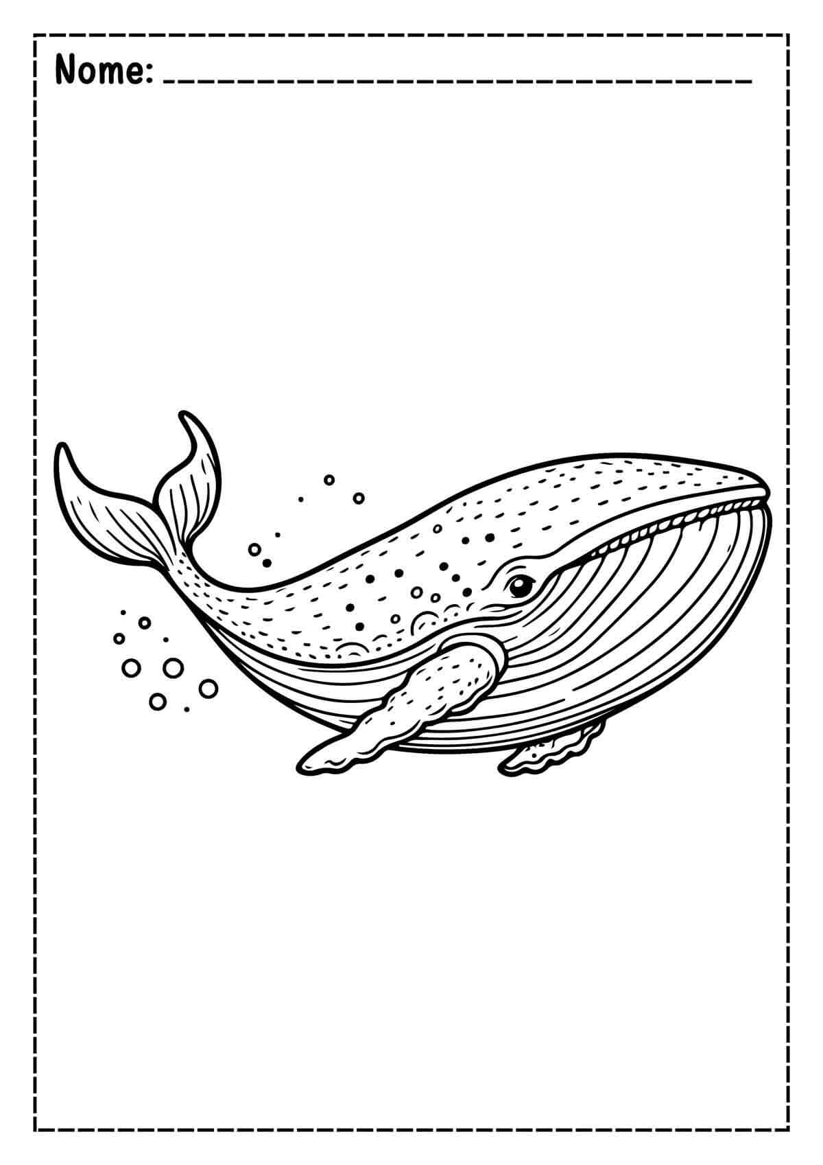 Desenho de Baleias para imprimir