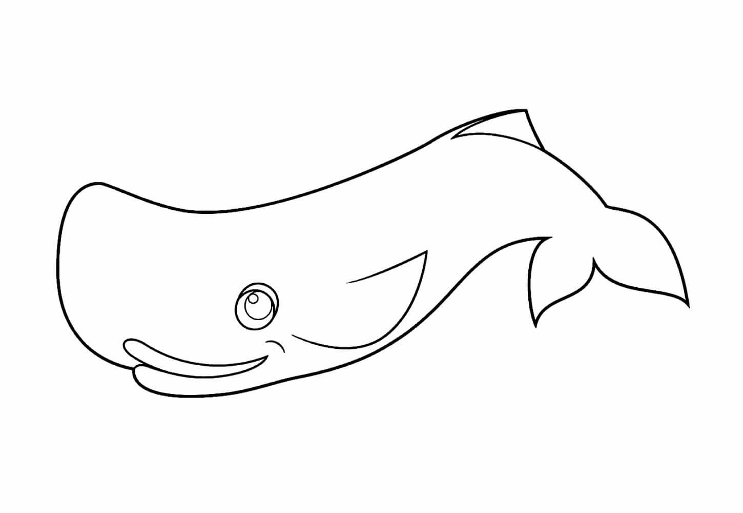 Desenho de Baleias para imprimir