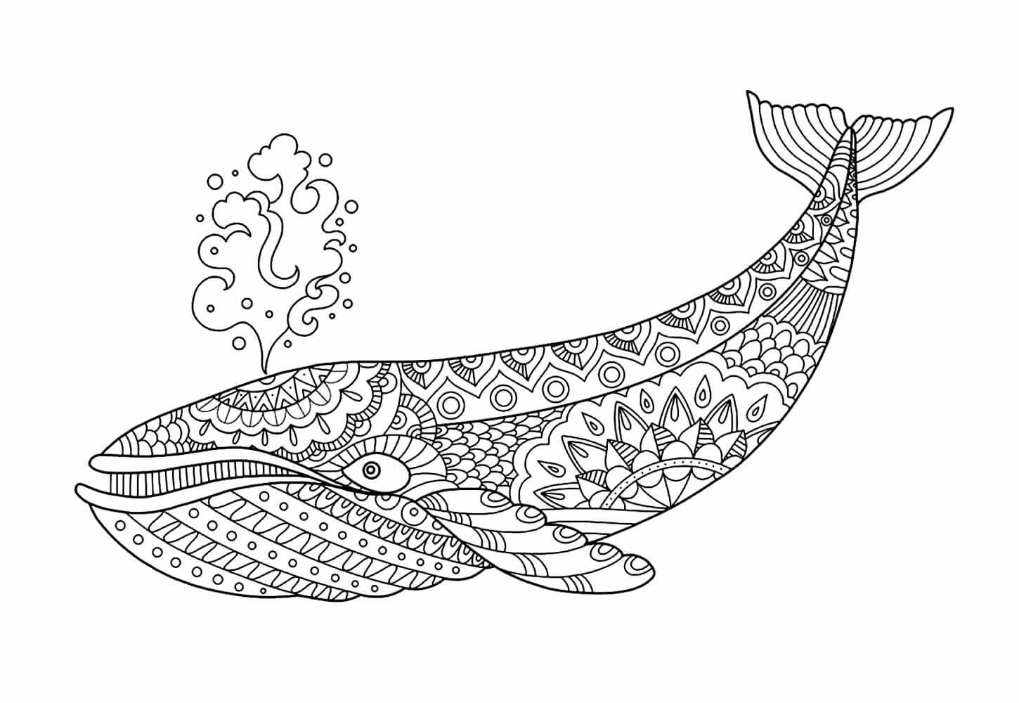 Desenho de Baleias para imprimir
