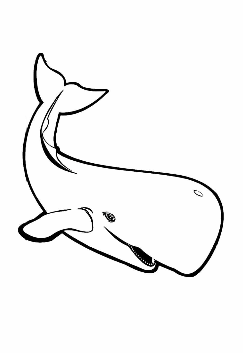 Desenho de Baleias para imprimir
