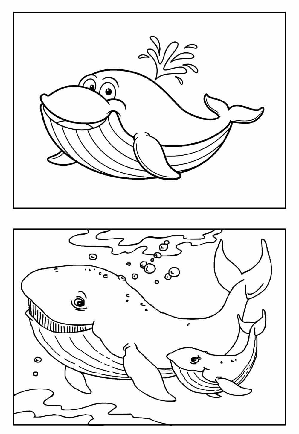 Desenho de Baleias para imprimir