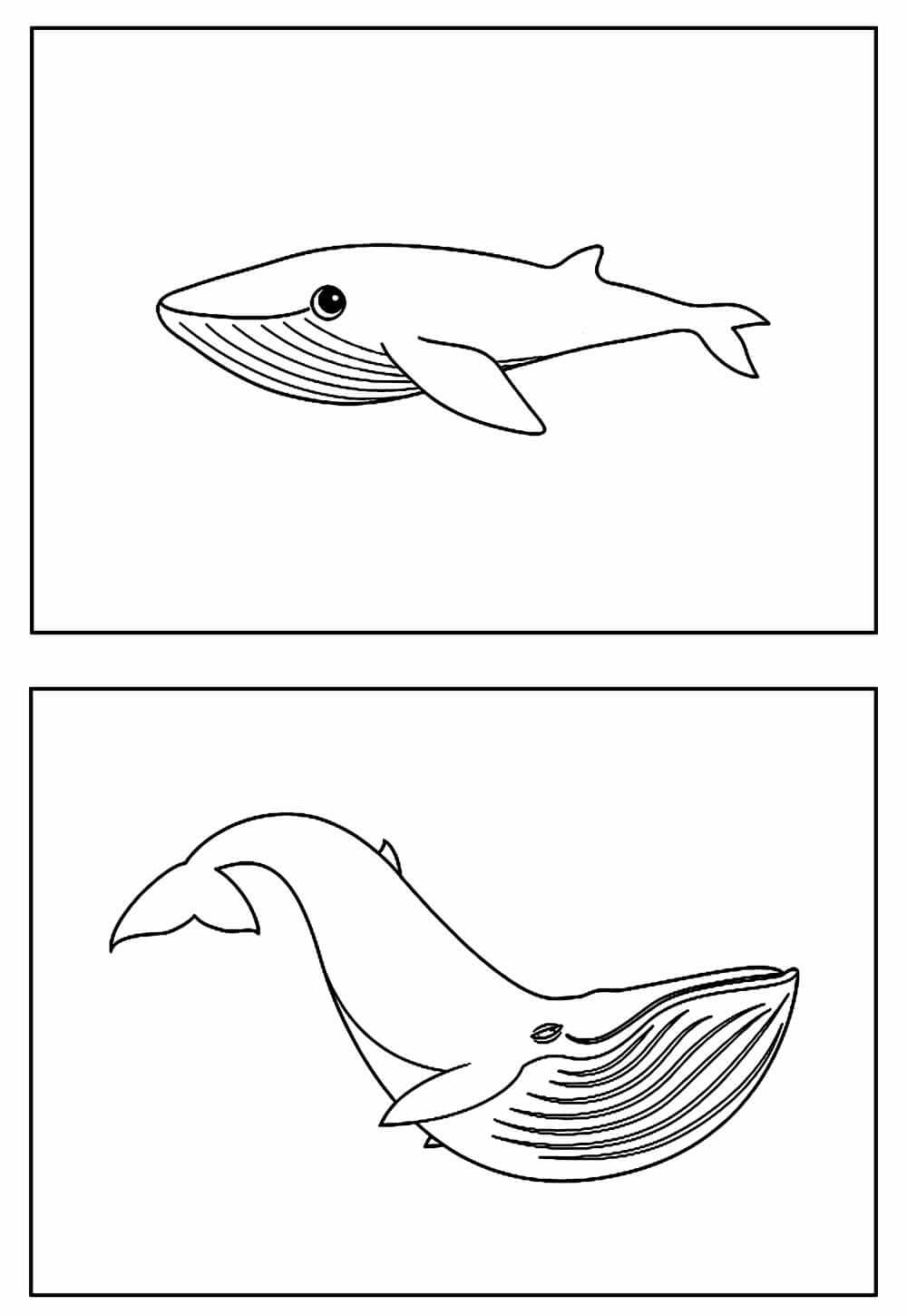 Desenho de Baleias para imprimir