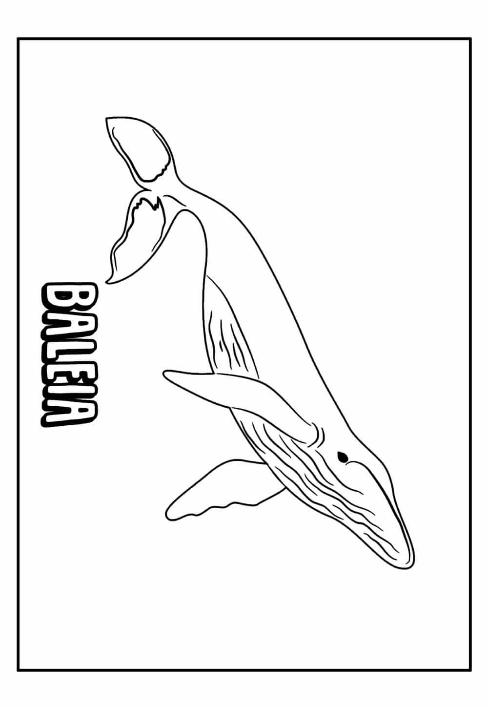 Desenho de Baleias para imprimir