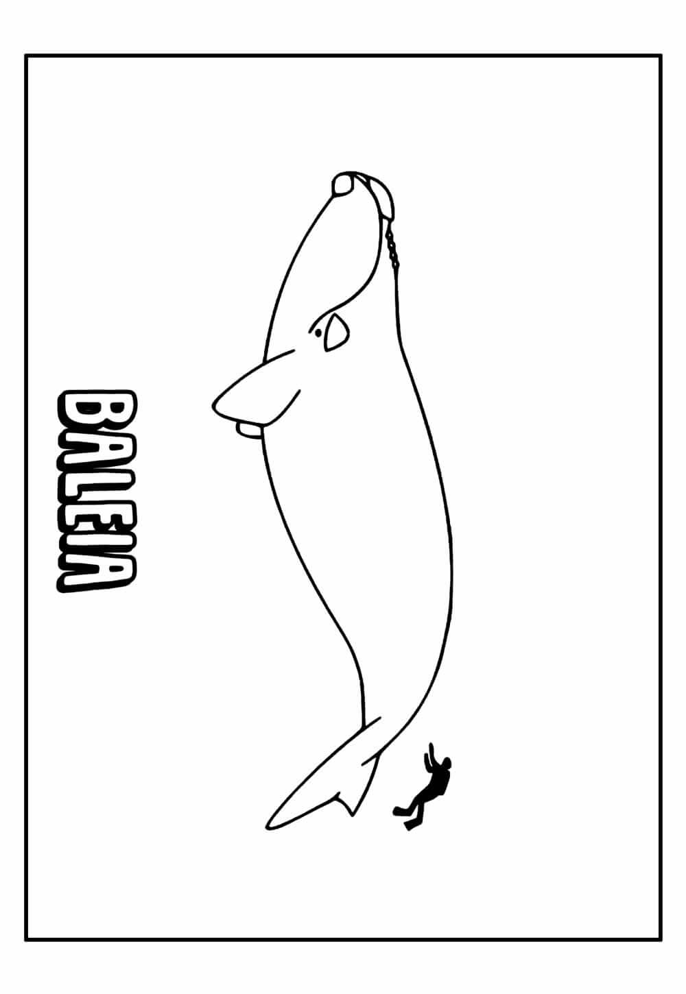 Desenho de Baleias para imprimir