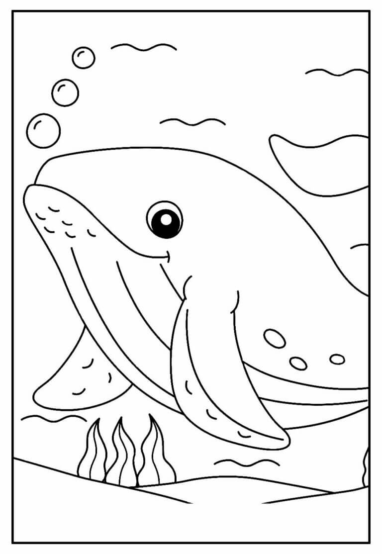 Desenho de Baleias para imprimir