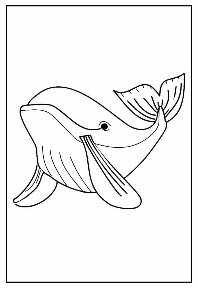 Desenho de Baleias para imprimir
