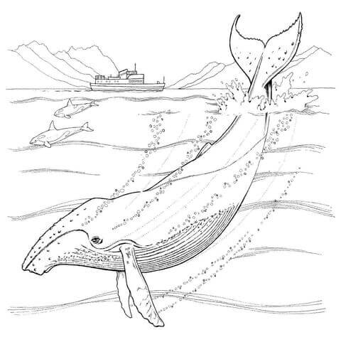 Desenho de Baleias para imprimir