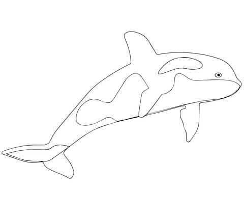 Desenho de Baleias para imprimir