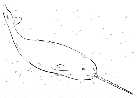 Desenho de Baleias para imprimir