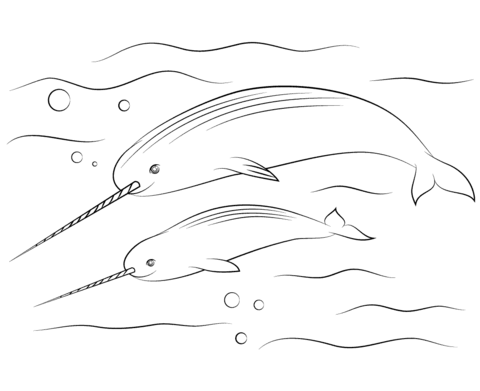 Desenho de Baleias para imprimir