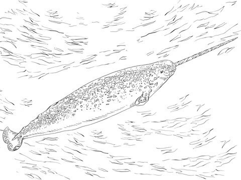 Desenho de Baleias para imprimir