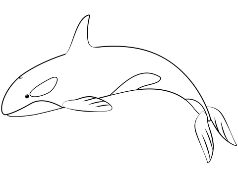 Desenho de Baleias para imprimir