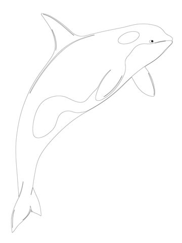Desenho de Baleias para imprimir