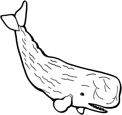 Desenho de Baleias para imprimir