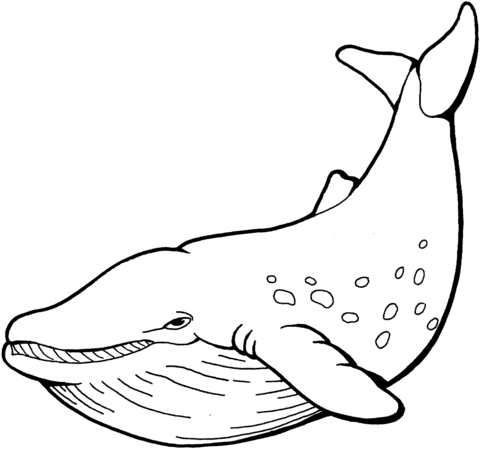 Desenho de Baleias para imprimir