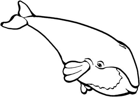 Desenho de Baleias para imprimir