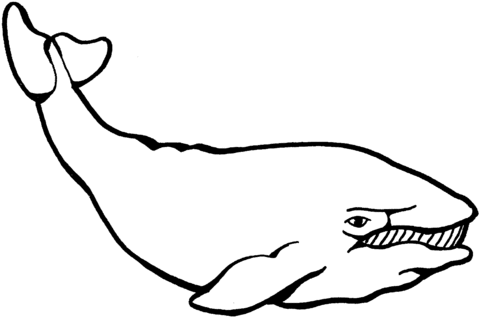 Desenho de Baleias para imprimir
