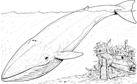 Desenho de Baleias para imprimir