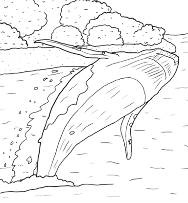 Desenho de Baleias para imprimir