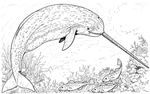 Desenho de Baleias para imprimir
