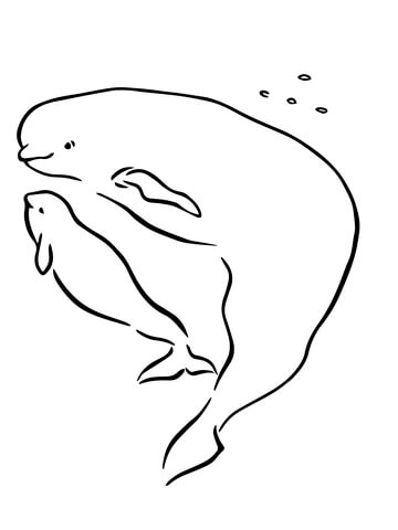 Desenho de Baleias para imprimir