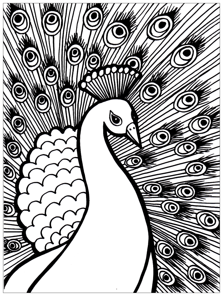 Desenho de Pavão para imprimir