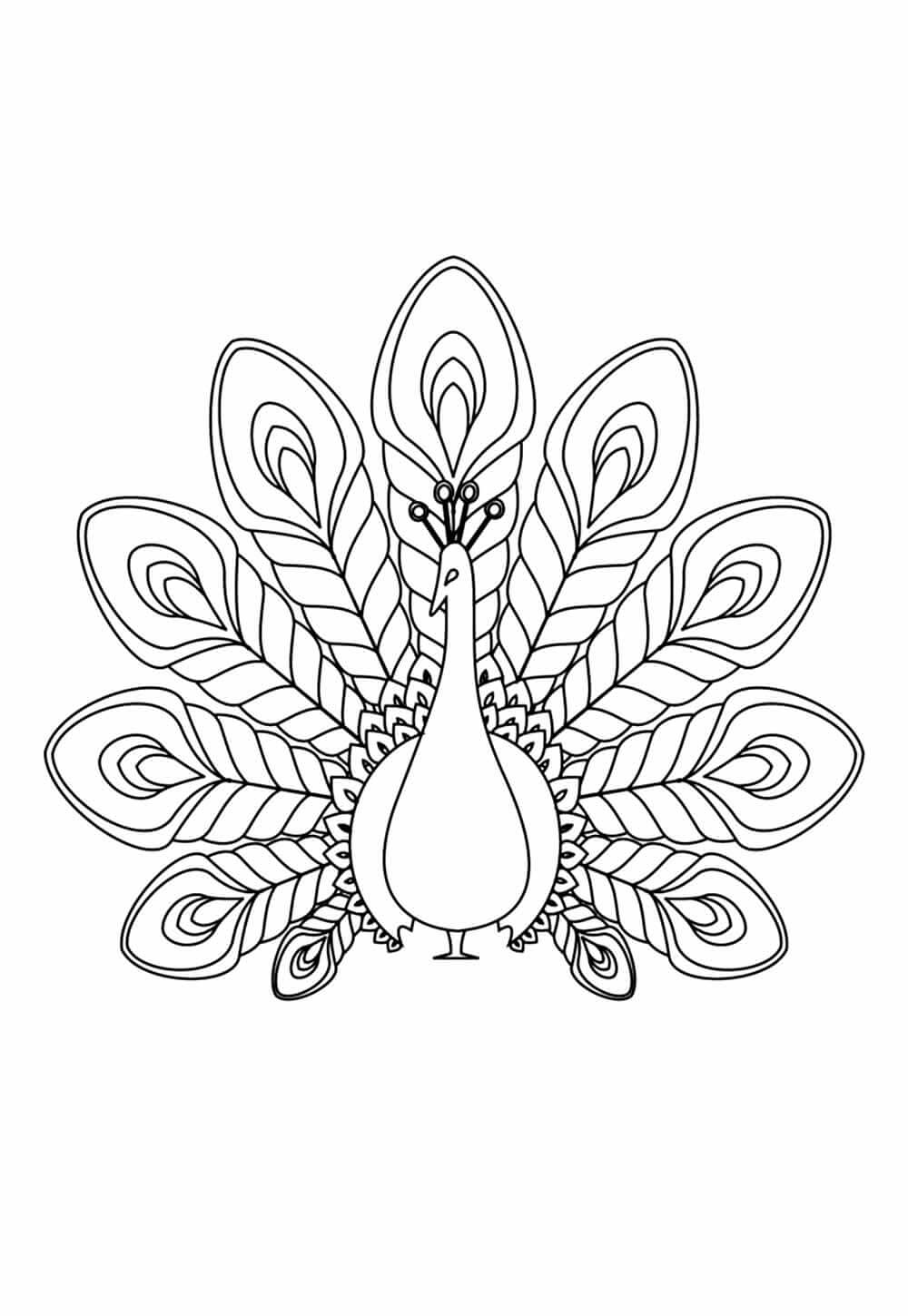 Desenho de Pavão para imprimir