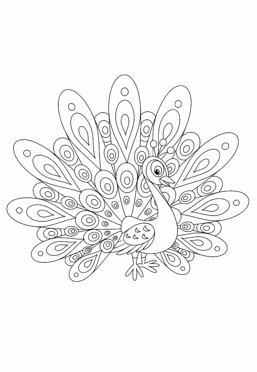 Desenho de Pavão para imprimir