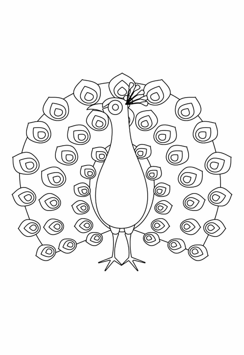 Desenho de Pavão para imprimir