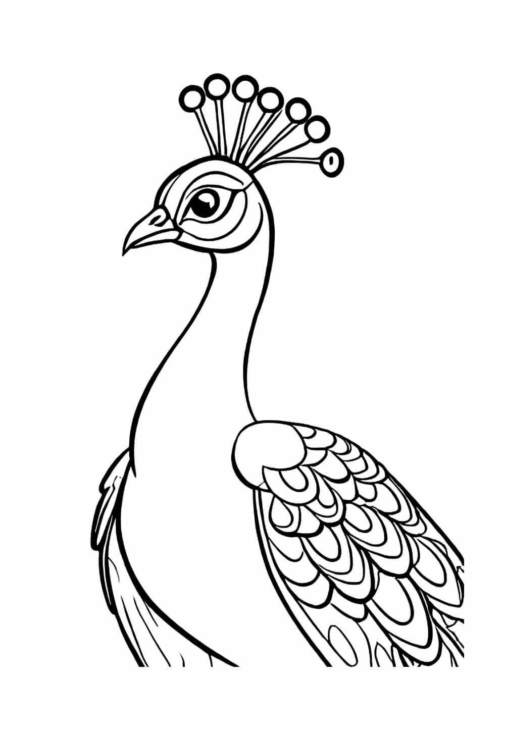 Desenho de Pavão para imprimir