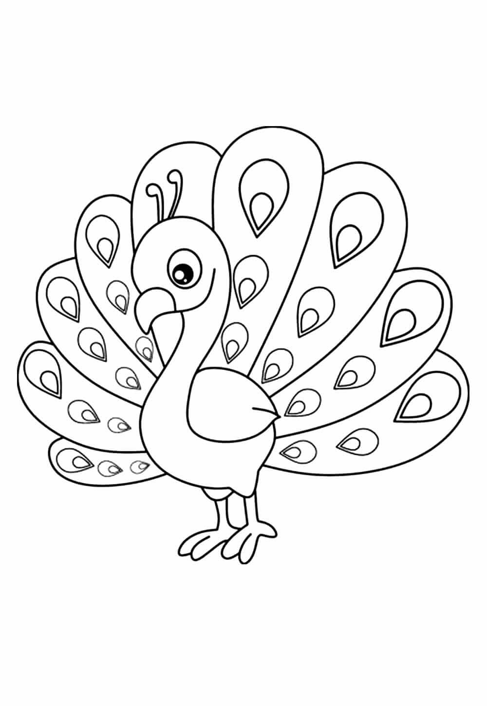 Desenho de Pavão para imprimir