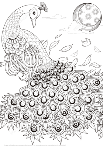 Desenho de Pavão para imprimir