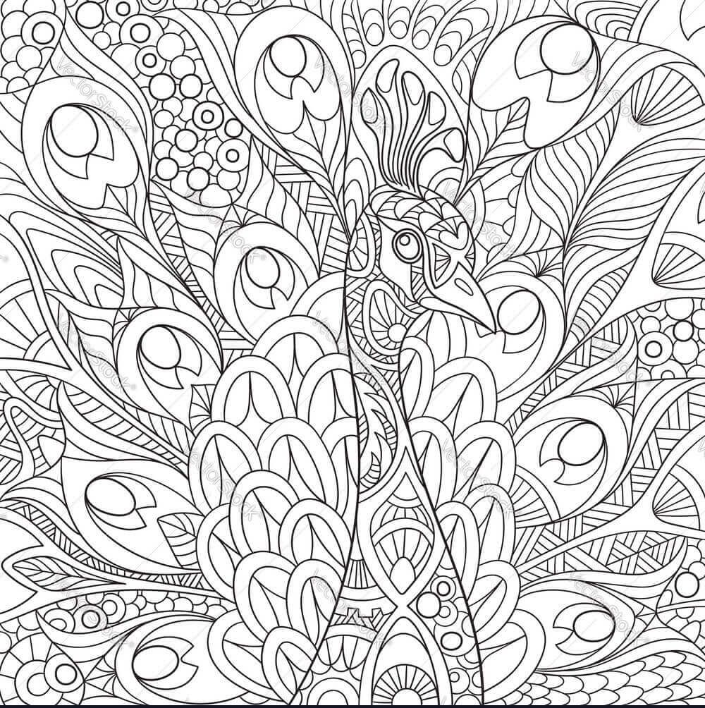 Desenho de Pavão para imprimir