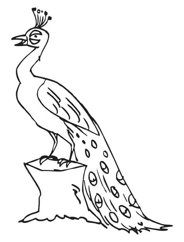Desenho de Pavão para imprimir