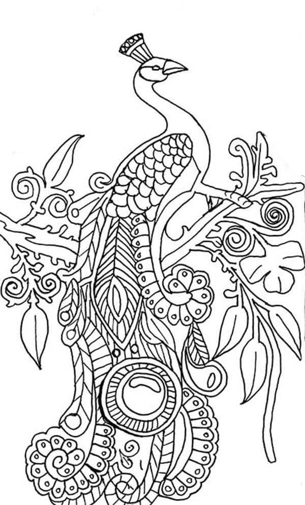 Desenho de Pavão para imprimir